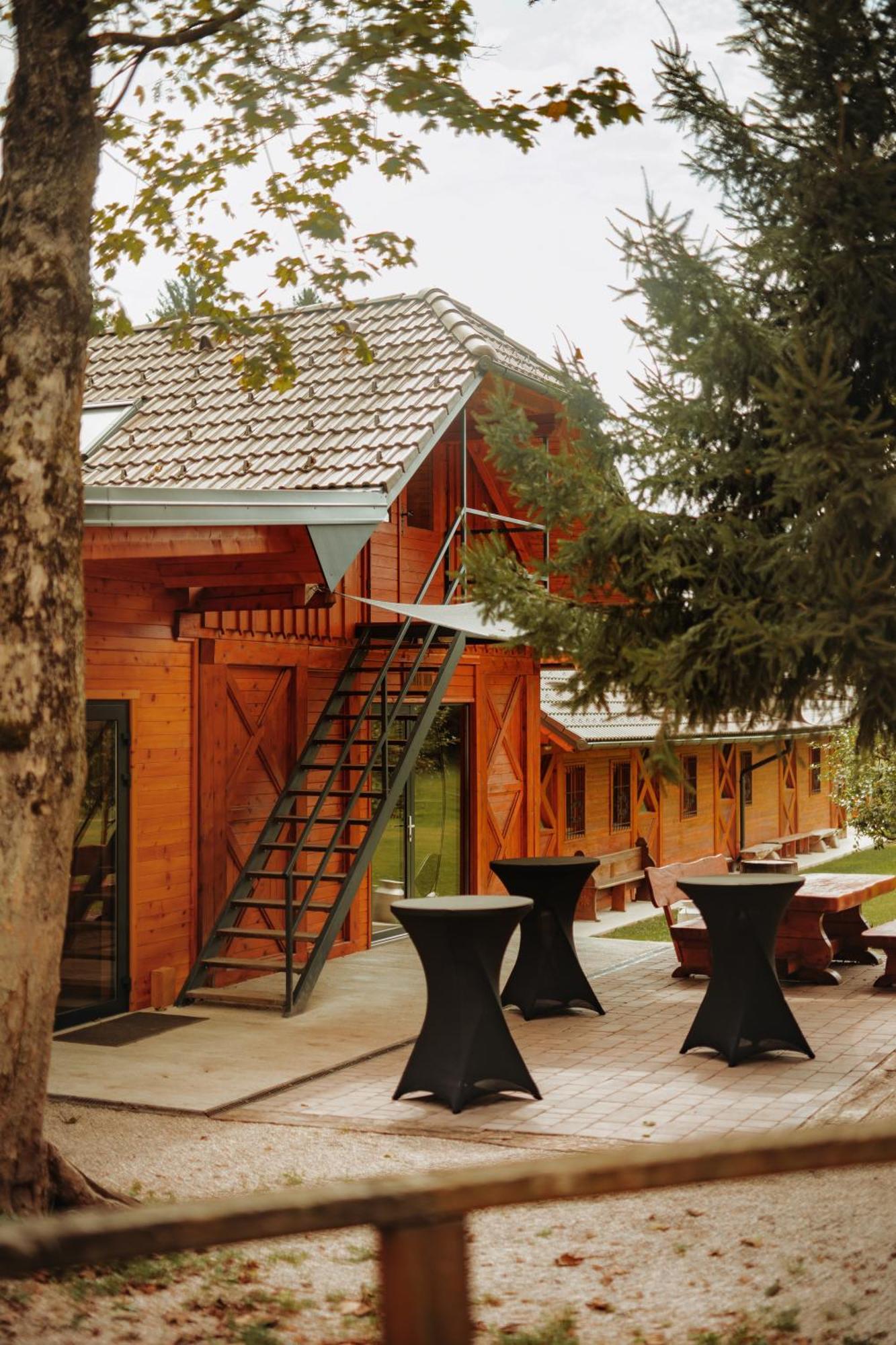 Tržič Ranc Mackadam Ranch Mackadamヴィラ エクステリア 写真